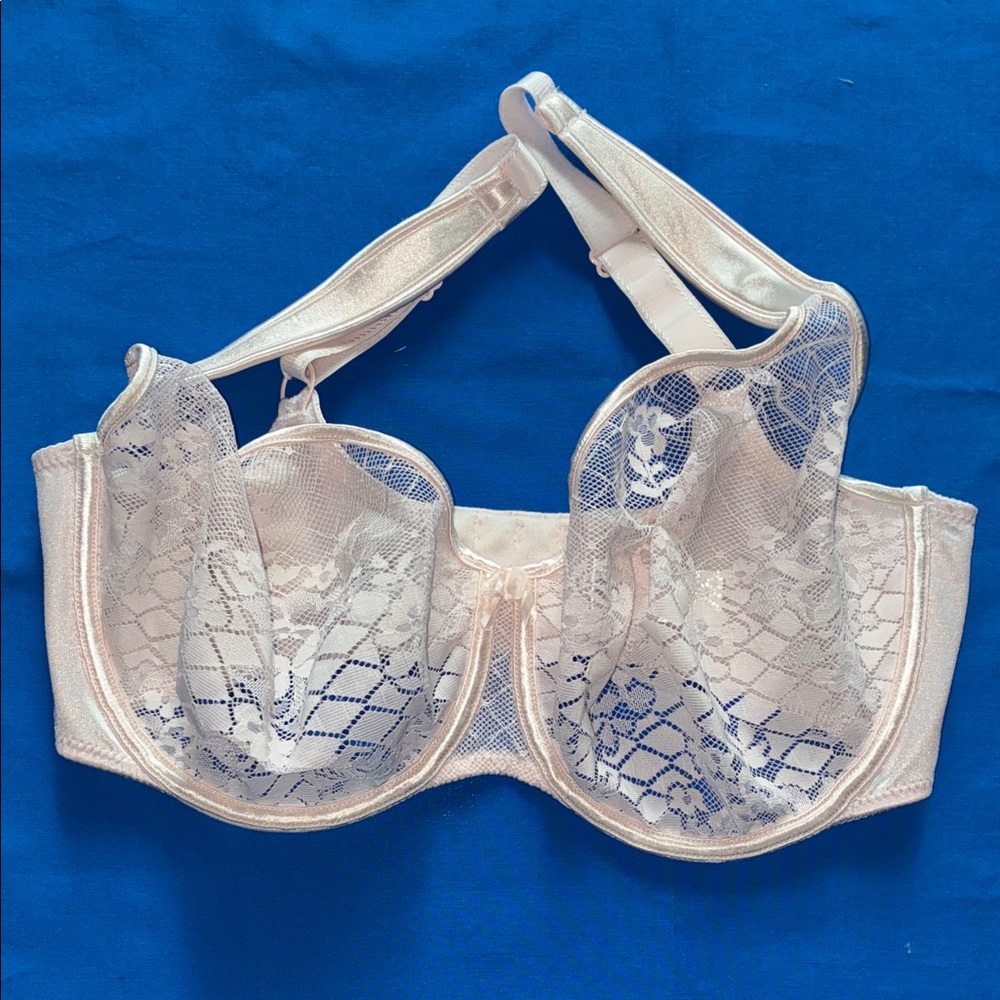 Empreinte Melody Underwire Lace Cup Bra 32F